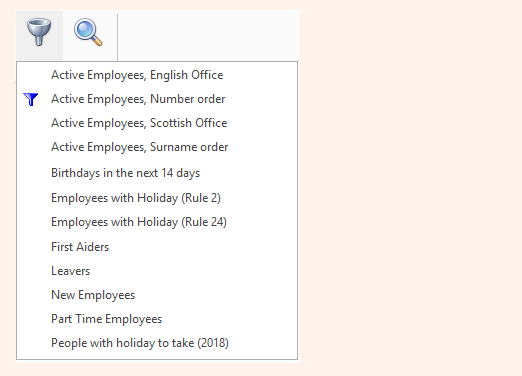 A listing of filters available in a screen in the People Inc HR system