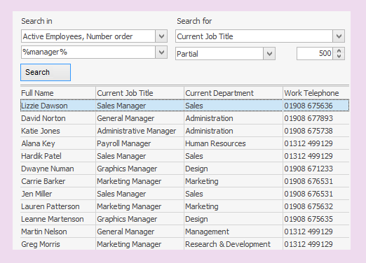 An open search box in the People Inc HR system showing wildcards being used