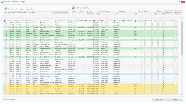 Software tool showing and allowing individual and bulk changes to salary records