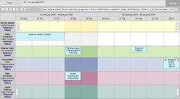 Diary view for HR events and actions